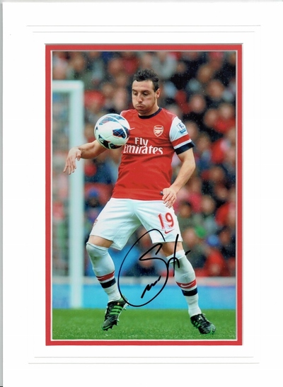 Santi Cazorla Arsenal photo