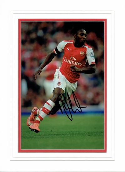 Danny Welbeck signed 12 x 8