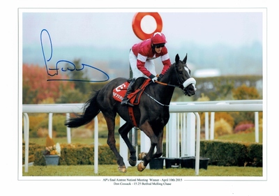 Tony McCoy large 16 x 12 photo