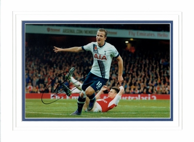 Harry Kane signed A4 photo