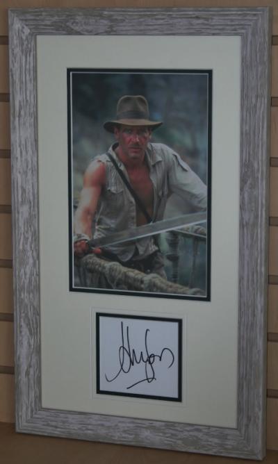 Harrison Ford, Raiders display