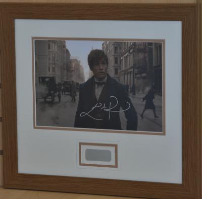 Eddie Redmayne signed 12 x 8