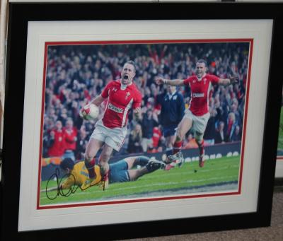 Shane Williams signed photo