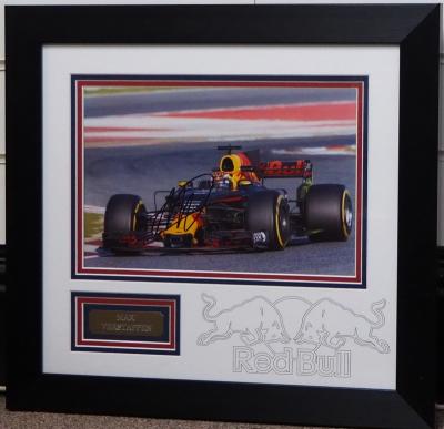 Max Verstappen 12 x 8 photo