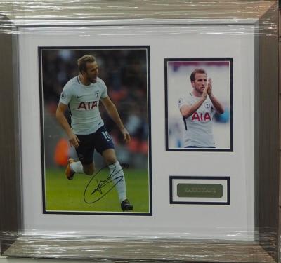 Harry Kane signed 12 x 8 photo