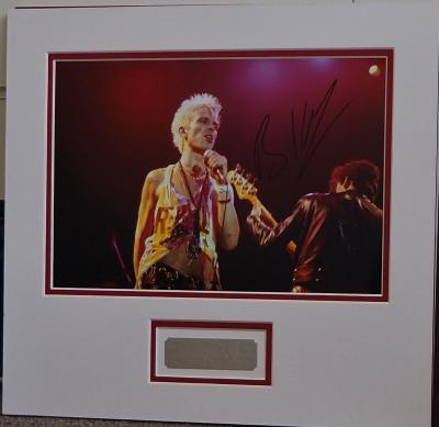 Billy Idol signed 12 x 8 photo