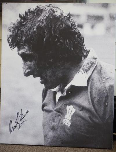 Gareth Edwards signed canvas