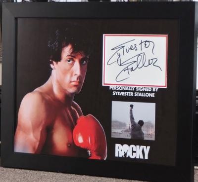 Sylvester Stallone as Rocky