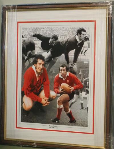 Gareth Edwards signed 16 x 12