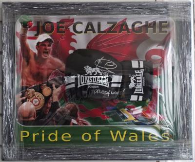 Joe Calzaghe signed boxing glove