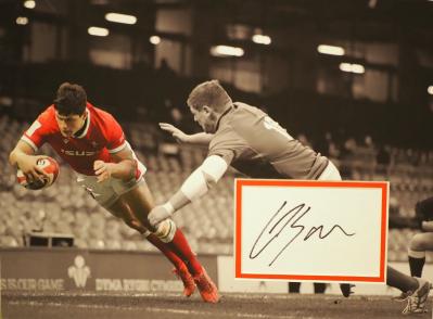 Louis Rees-Zammit autograph [2]