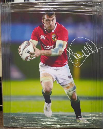 Sam Warburton signed canvas