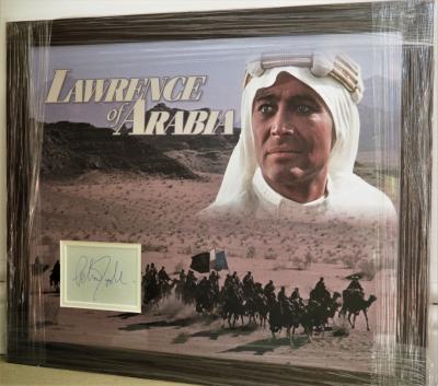 Peter O'Toole as T.E Lawrence