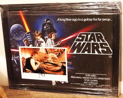 Harrison Ford hand signed 10 x 8