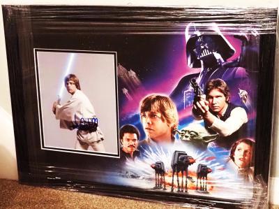 Mark Hamill hand signed 10 x 8